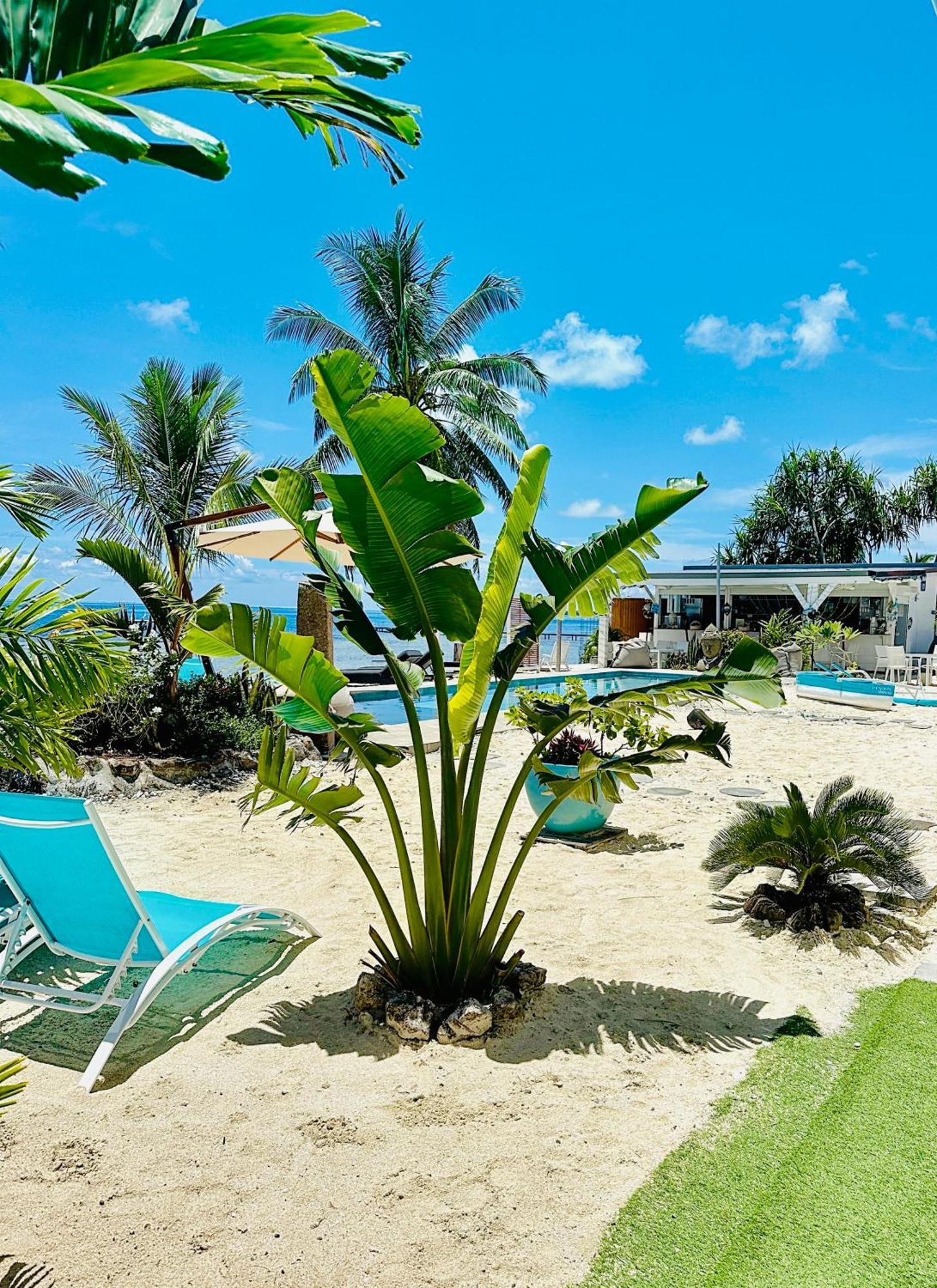 אוטורואה Pension Irivai, Appartement Rava 1 Chambre Bord De Mer מראה חיצוני תמונה